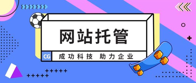 站群程序市场分析与发展动态