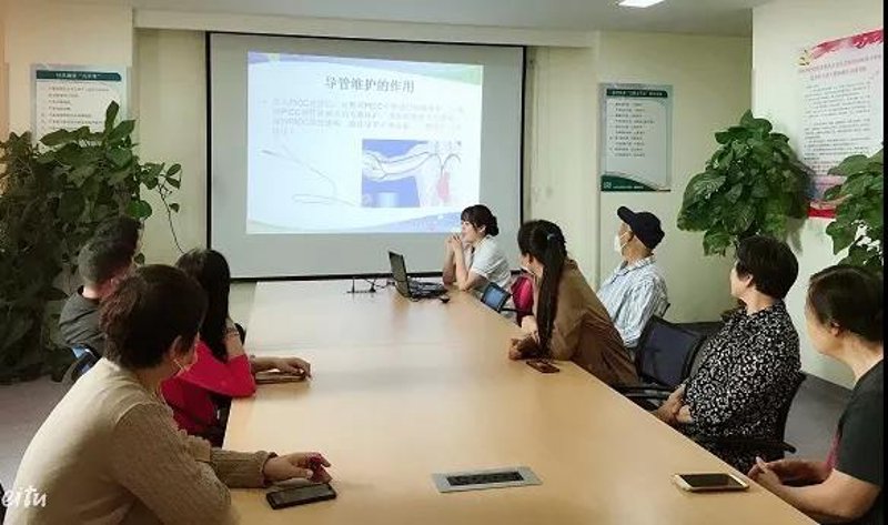 SEO站群，互联网时代的流量新宠